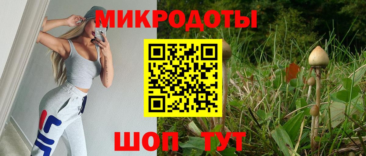 Белгород  Галлюциногенные грибы мицелий  Галлюциногенные грибы Psilocybe  Вход с VPN 